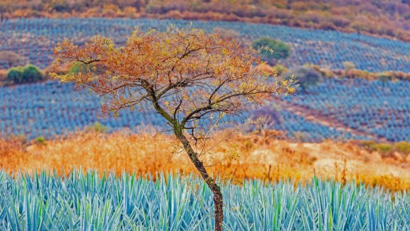 绝地求生科技外挂升级!全新稳定多功能自瞄辅助震撼发布